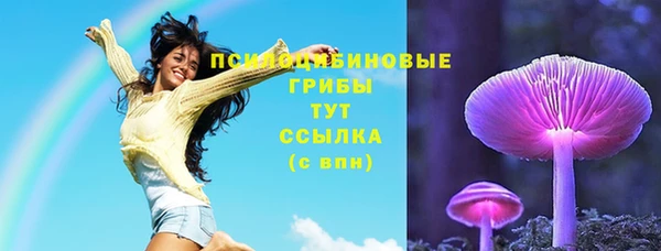 прущий лед Армянск