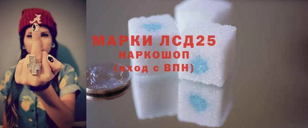 прущие грибы Арсеньев