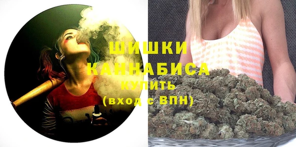прущие грибы Арсеньев