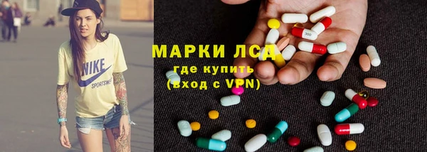прущие грибы Арсеньев